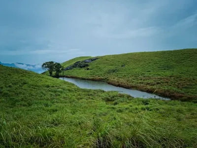 Wayanad